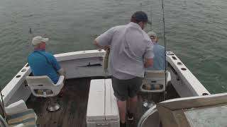 High Flying Great White Shark Leaps From Water Stealing Fishermens Catch [upl. by Nel]