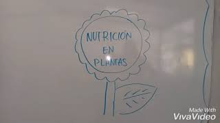 Nutrición en plantas ppm y meqL1 [upl. by Atnuhs]