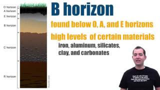 Soil Horizon Types [upl. by Seidler]