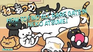 How to get all RARE cats in NEKO ATSUME [upl. by Howlend332]