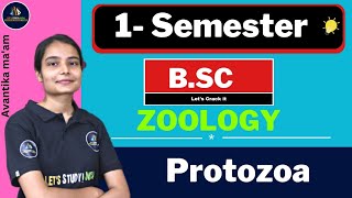 Protozoa  Bsc Zoology 1st Semester  Avantika Maam [upl. by Lirbaj20]