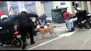 Loukanikos  Λουκάνικος The Dog Anarchist [upl. by Corbin890]