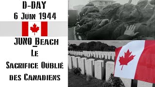 Juno Beach  Le Sacrifice Oublié des Canadiens [upl. by Attenrev]