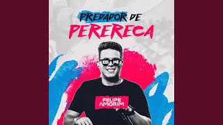 Predador de Perereca [upl. by Russia226]