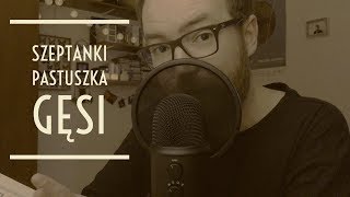 Najpiękniejsze baśnie braci Grimm  Pastuszka gęsi  Bajka na dobranoc  ASMR po polsku [upl. by Goetz457]