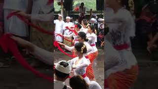 Tari Rejang Sari Pura Agung Besakih [upl. by Columbyne]