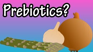 Prebiotics  What Are Prebiotics  Health Benefits Of Prebiotics  Foods High In Prebiotics [upl. by Ecnatsnok]