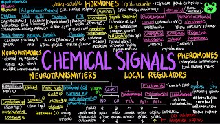 Chemical Signals  Animal Physiology 06  Biology  PP Notes  Campbell 8E Ch 45 [upl. by Whiffen]