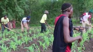 Tanzania Sukuma Bachonga Magembe working in the fields [upl. by Arreis]