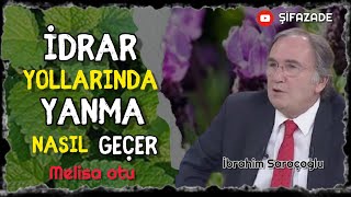 İDRAR YOLLARINDA YANMA NEDEN OLUR  İDRAR YAPARKEN YANMA NASIL GEÇER İBRAHİM SARAÇOĞLU  MELİSA OTU [upl. by Morita]