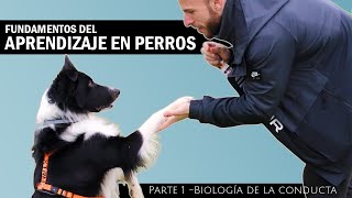 Fundamentos del aprendizaje aplicado al entrenamiento y la terapia para perros  Parte 1 [upl. by Reklaw]