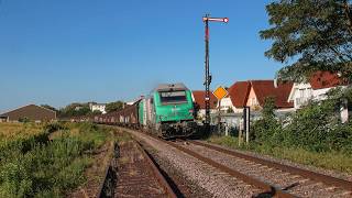 Mit dem Spätsommer durch Europa  Backbone am Fjord ElsassShuttle Vectrons im Mittelrheintal uvm [upl. by Nylkoorb]