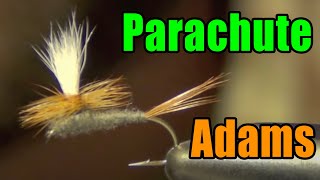 Parachute Adams Fly Tying  Best amp Most Versatile All Purpose Dry Fly Ever Invented [upl. by Niledam]