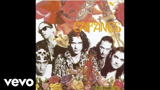 Caifanes  Antes de Que Nos Olviden Cover Audio [upl. by Oiramd]