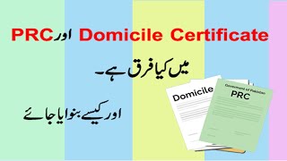 Difference in Domicile and PRC  How to make Domicile Certificate in Pakistan [upl. by Yelyk]