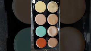 Lakyou beauty concealer and contour palette  8 sheds pallets [upl. by Lizned538]