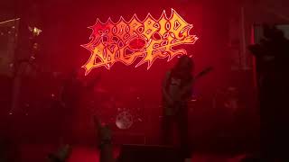 Morbid Angel live Houston 3172023 [upl. by Ziegler]