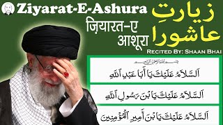 Ziarat e Ashura  Ziyarat Ashura  Ziarat e Imam Hussain  English Shaan Bhai Official زیارت عاشورا [upl. by Wang]