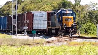 High Speed Winston Local O709 With CSX 4307 [upl. by Eelrebma]