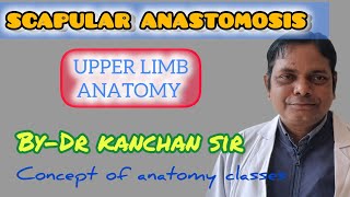 SCAPULAR ANASTOMOSIS  Concept of AnatomyUpper limbArterial Anastomosis around scapula [upl. by Sapowith]