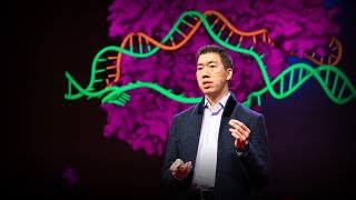 Can we cure genetic diseases by rewriting DNA  David R Liu [upl. by Auqenaj]