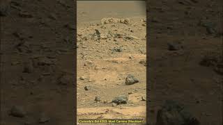 NASAs Mars Rover Curiosity on 24th July 2024 the 4253rd martian day curiosity mars [upl. by Otreblon]