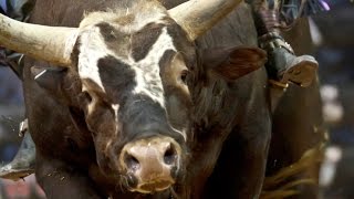 2014 PBR Season Recap World Champion Bushwacker [upl. by Studdard]