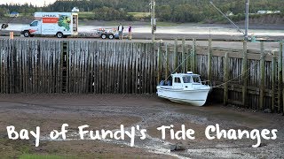 Bay of Fundys Radical Tide Swings [upl. by Noeruat]