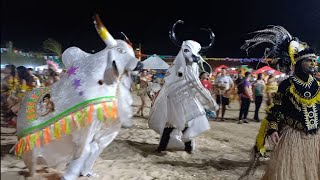 BUMBAMEUBOI NOVO FAZENDINHA 2024 NO CAMPO DO BOTAFOGO NO BAIRRO CATANDUVAS EM PARNAÍBA PIAUÍ [upl. by Rawley]