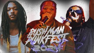 RECAP DE LÉVENT BUSHMAN PUNKFEST ÉDITION 2024 [upl. by Aihsekram]