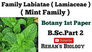 Family Labiatae  Lamiaceae  Rehans Biology Mint Family Basil Family BSc Part 2 1st paper [upl. by Aicad]