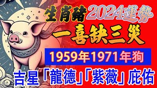 【2024甲辰龍年】生肖豬運勢🐷屬豬將迎來顯著的好運 許多貴人的支持｜1959年1971年雞｜充滿喜慶和機遇  事業將會取得好的收獲 【佛語】佛語禪心 運勢 風水 佛教 生肖 [upl. by Blinny151]