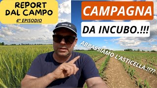 quotREPORT DAL CAMPO EP 4quot UNA CAMPAGNA DA INCUBO [upl. by Arola]