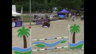 Chute de cheval en concours RISSA DU VIVIER [upl. by Goodhen]