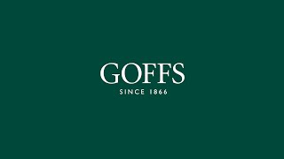 Goffs Doncaster August Sale 2023 [upl. by Nosrettap]