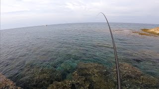 SEZON AÇILIŞI SOKAN SARPA IZGARO AVI SIGANUS RIVULATUS κουρκούνες BOOPS SALPA ISKAROZ FISHING CYPRUS [upl. by Emily]