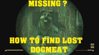 FALLOUT 4  How To Find Lost Dogmeat [upl. by Nager364]