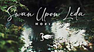 hozier  Swan upon Leda but you’re sat feeding the ducks and swans at the lake [upl. by Etakyram866]