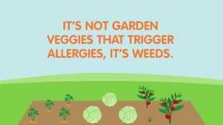 Summer Allergies – Check Your Local Allergy Forecast Before Gardening  ZYRTEC® Allergy [upl. by Garret]