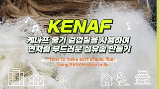 From KENAF harvest to making kenaf staple fiber  케나프 줄기 수확에서 부터 케나프솜을 만드는 과정 [upl. by Sined]