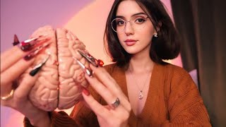 ASMR Brain Melting Triggers to Help You Sleep [upl. by Xonel272]