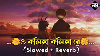 O Kolija Kolija Re I ও কলিজা কলিজা রে I Slowed  Reverb I Bangla Sad Song I [upl. by Favien]