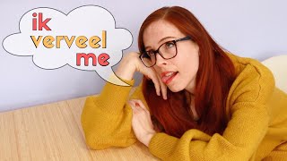 Dutch REFLEXIVE VERBS amp PRONOUNS  Reflexieve werkwoorden NT2  A2 [upl. by Brigette]