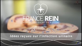 Idées reçues sur linfection urinaire [upl. by Eirrak816]