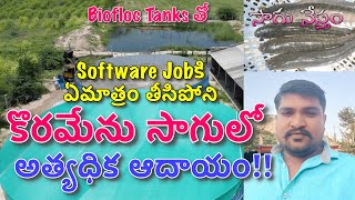 Fish Farming in Telugu  Biofloc  బయోఫ్లాక్ పద్ధతిలో కొరమేను చేపల సాగు విధానం  Sagu Nestham [upl. by Harned]