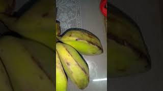 SABA banana for potassium best for pulikat [upl. by Kronfeld]