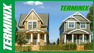 Protect Home From Termites  Terminix Commercial [upl. by Assena]