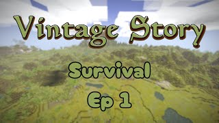 Lets start a new adventure  Vintage Story  Survival  Ep 1 [upl. by Shields]