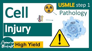 Cell Injury  Reversible vs Irreversible cell injury  General Pathology Animated USMLE step1 [upl. by Cocke]