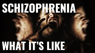 What its like to have schizophrenia [upl. by Atiral956]